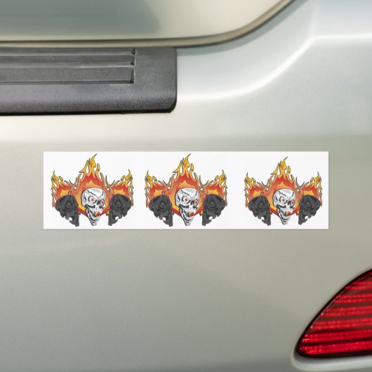 Flaming Skulls Autoaufkleber (Auf Auto)