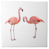 “flamingo”の優良製品 fliese (Vorderseite)