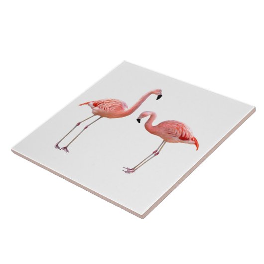 “flamingo”の優良製品 fliese (Seite)