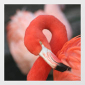 Flamingo 001 fensteraufkleber (Blatt)