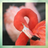 Flamingo 001 fensteraufkleber (Blatt 3)