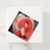 Flamingo 001 geschenkanhänger (Beispiel)