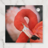 Flamingo 001 geschenkanhänger (Rückseite)
