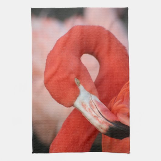 Flamingo 001 geschirrtuch (Vertikal)