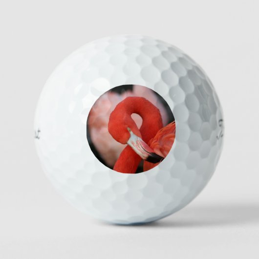 Flamingo 001 golfball (Vorderseite)