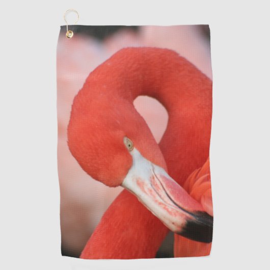 Flamingo 001 golfhandtuch (Vorderseite)