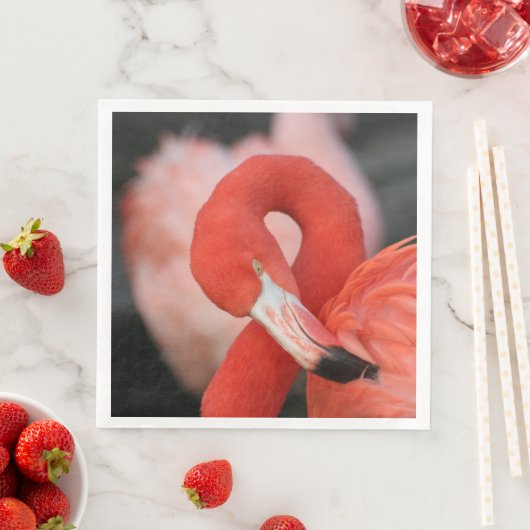 Flamingo 001 serviette (Beispiel)