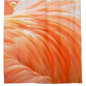 Flamingo 1 Duschvorhang (Vorderseite)
