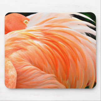Flamingo 1 Mousepad