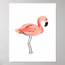 Flamingo 1