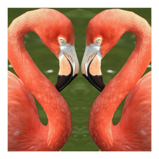 Flamingo_20170701_by_JAMFoto Fotodruck (Vorne)