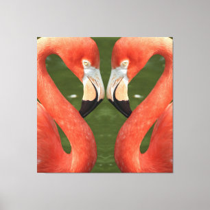 Flamingo_20170701_by_JAMFoto Leinwanddruck