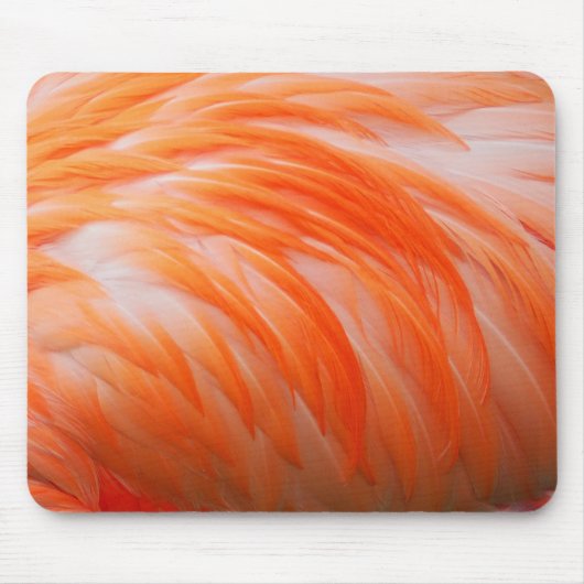 Flamingo 2 Mousepad (Vorne)
