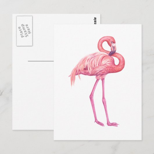 Flamingo 2 postkarte (Vorne/Hinten)