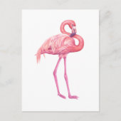 Flamingo 2 postkarte (Vorderseite)