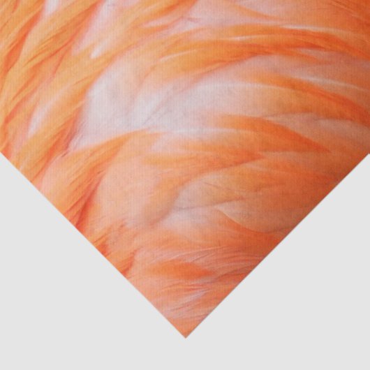 Flamingo 2 seidenpapier (Ausschnitt)