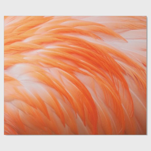 Flamingo 2 Wrapping Paper Geschenkpapier (Flach)