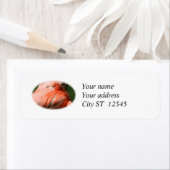 Flamingo Address Label (Insitu)