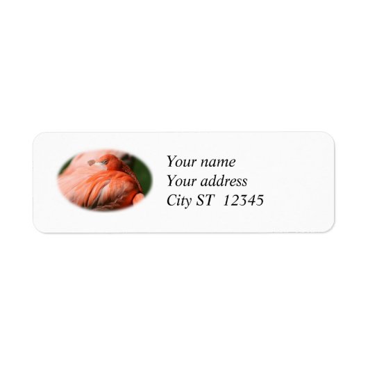 Flamingo Address Label (Vorne)