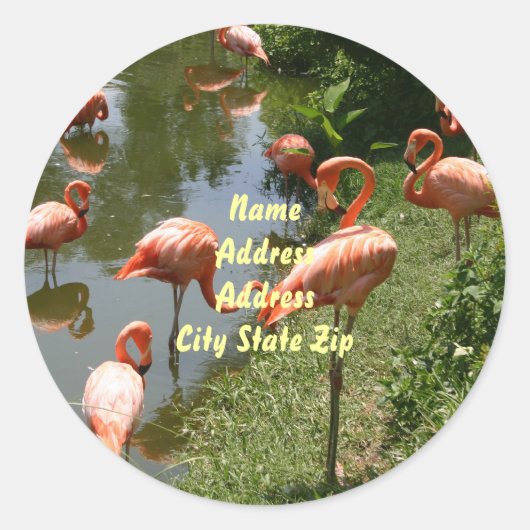 Flamingo Address Label Runder Aufkleber (Vorderseite)