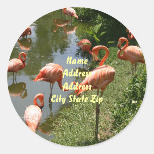 Flamingo-Adressen-Etikett Runder Aufkleber