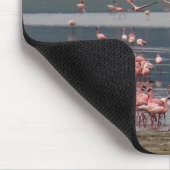 Flamingo Ansammlung - Mousepad (Ecke)