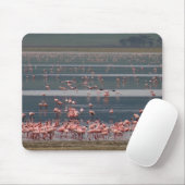Flamingo Ansammlung - Mousepad (Mit Mouse)