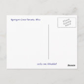 Flamingo Ansammlung - Postkarte (Rückseite)