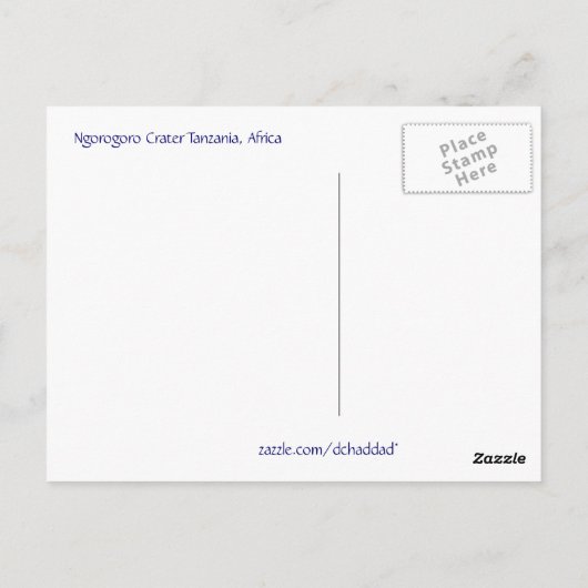 Flamingo Ansammlung - Postkarte (Rückseite)