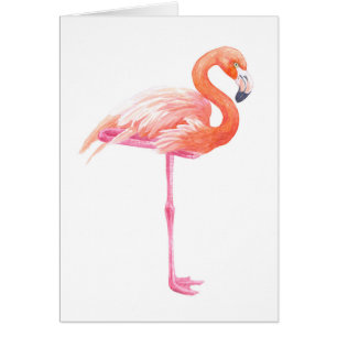 Flamingo-Aquarell