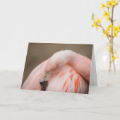 Flamingo at Rest Karte (Gelbe Blume)