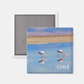 Flamingo, Atacama-Wüste, Chile Magnet (Vorderseite/Rückseite)