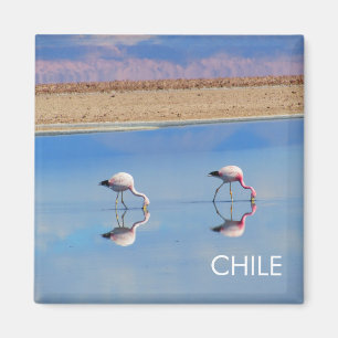 Flamingo, Atacama-Wüste, Chile Magnet