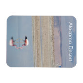 Flamingo Atacama Wüste Flexible Magnet (Horizontal)