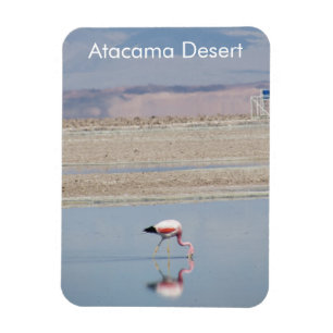 Flamingo Atacama Wüste Flexible Magnet