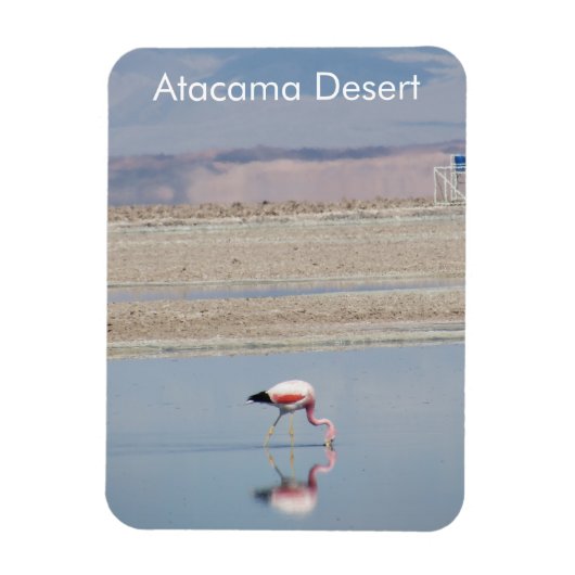 Flamingo Atacama Wüste Flexible Magnet (Vertikal)