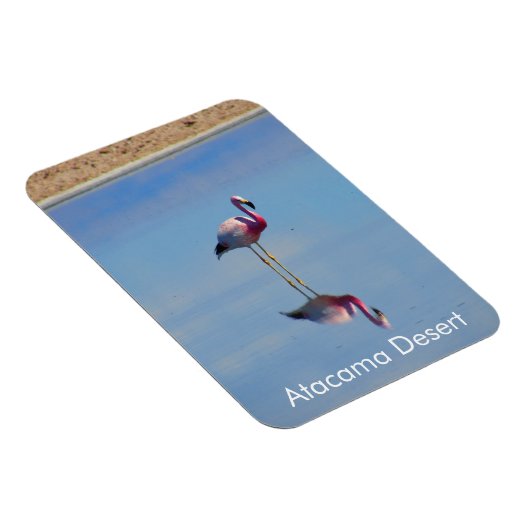 Flamingo Atacama Wüste Flexible Magnet (Rechte Seite)