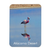 Flamingo Atacama Wüste Flexible Magnet (Vertikal)