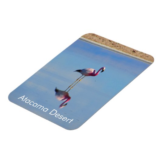 Flamingo Atacama Wüste Flexible Magnet (Linke Seite)