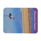 Flamingo Atacama Wüste Flexible Magnet (Horizontal)