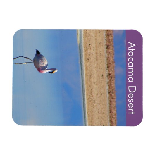 Flamingo Atacama Wüste Flexible Magnet (Horizontal)