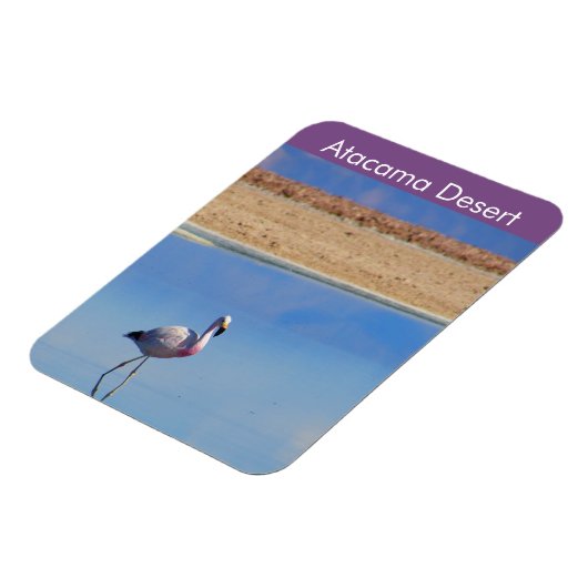 Flamingo Atacama Wüste Flexible Magnet (Linke Seite)