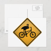 Flamingo auf dem Fahrrad Postkarte (Vorne/Hinten)