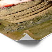 Flamingo auf seinem Nest Poster (Ecke)