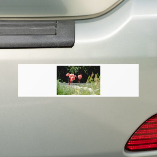 Flamingo Autoaufkleber (Auf Auto)