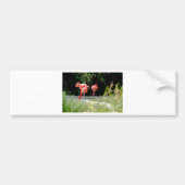 Flamingo Autoaufkleber (Vorne)