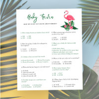 Flamingo - Baby Trivia | Baby Showspiel