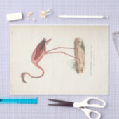 Flamingo Bird Ephemera Decoupage Seidenpapier (Handwerk)
