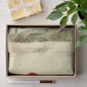 Flamingo Bird Ephemera Decoupage Seidenpapier (Geschenk)