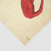 Flamingo Bird Ephemera Decoupage Seidenpapier (Ausschnitt)